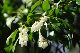 image0257