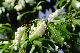 image0258
