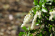 image0260