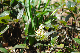image0261