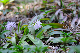 image0262