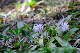 image0263