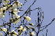 image0264