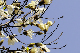 image0265