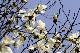 image0266