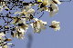 image0267