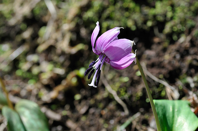 image0101