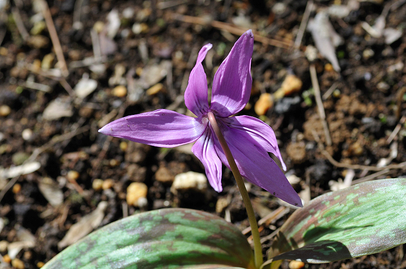 image0102