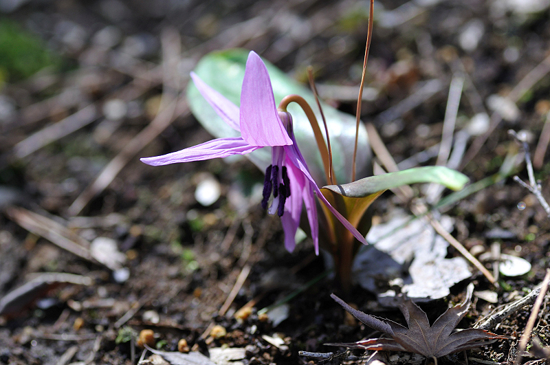 image0103