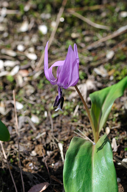 image0110