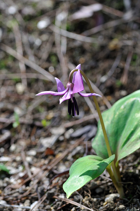 image0111