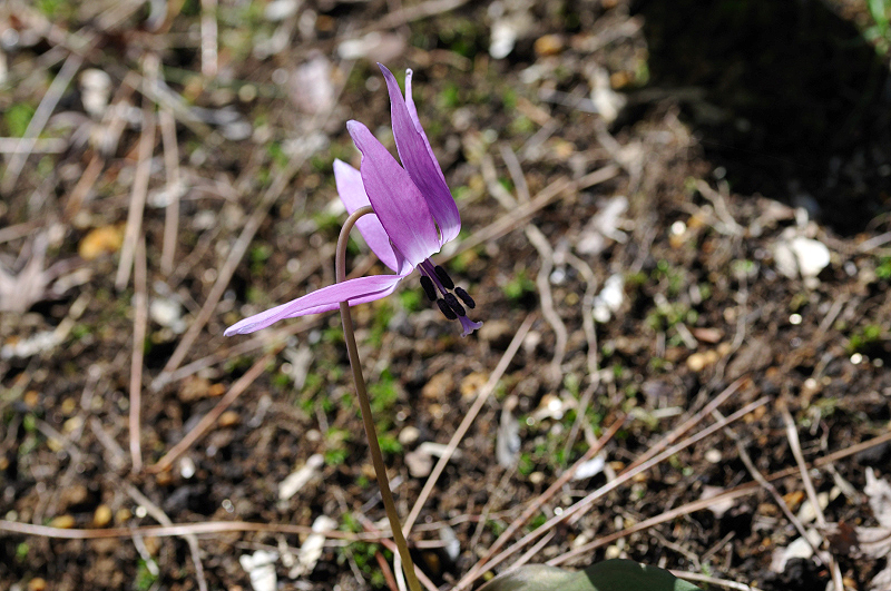 image0113
