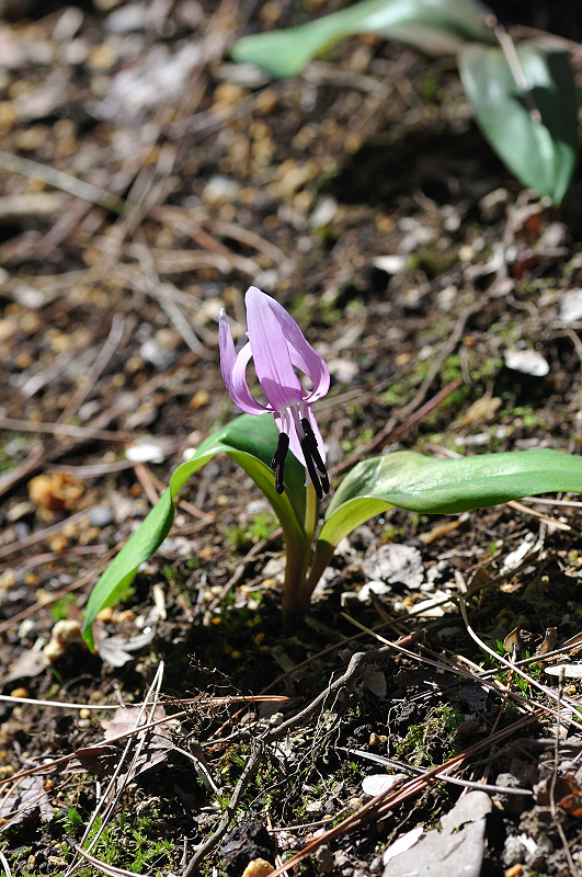 image0114
