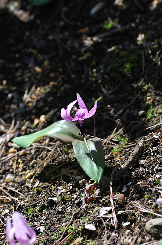 image0115