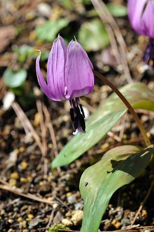 image0116