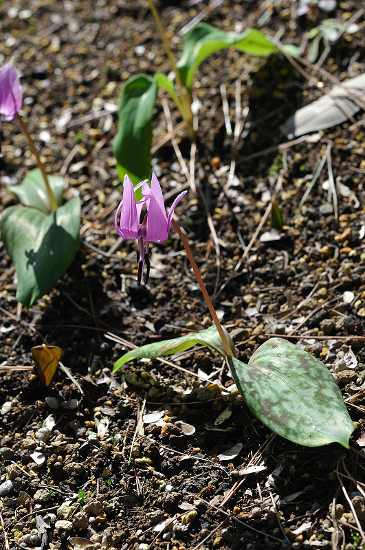image0119