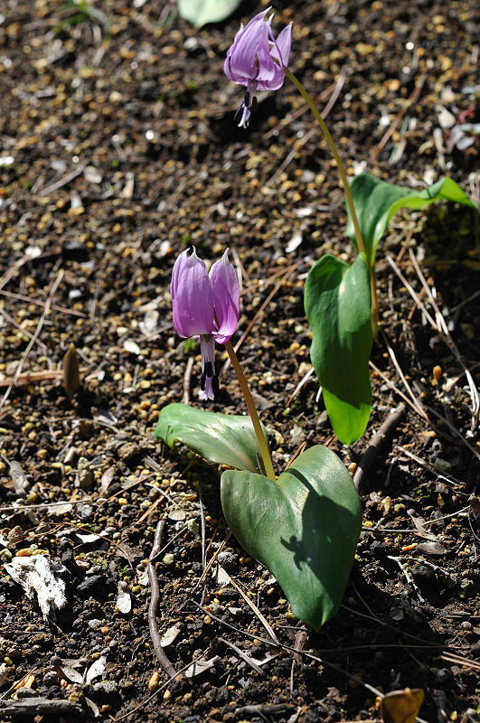 image0120