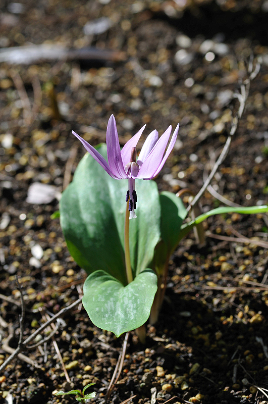 image0121