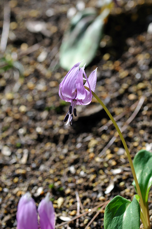 image0122