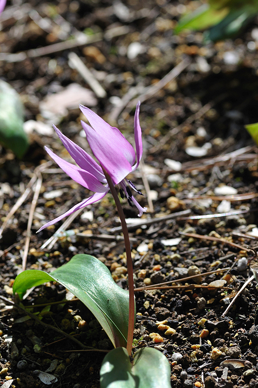 image0123