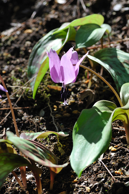 image0124