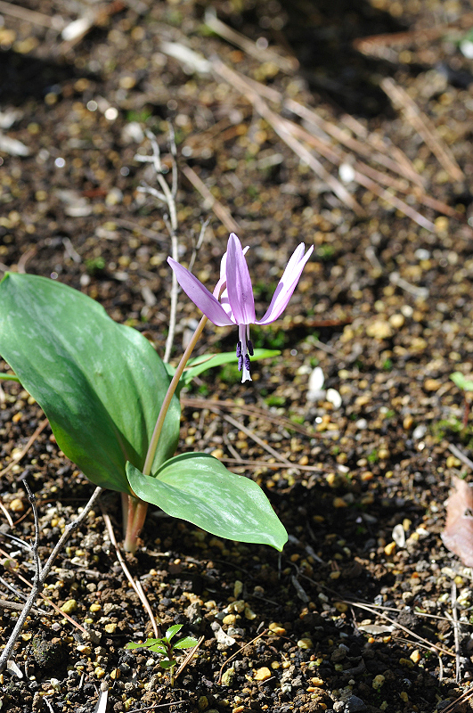image0127