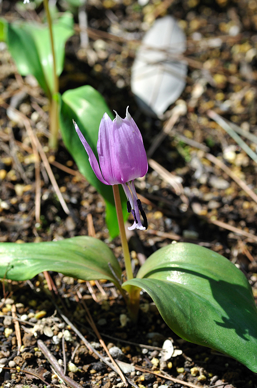 image0128