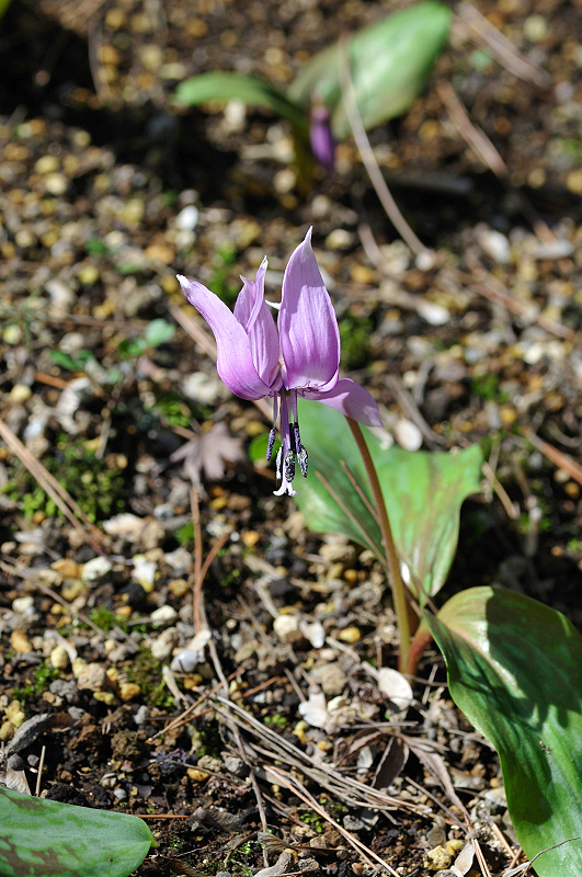 image0130