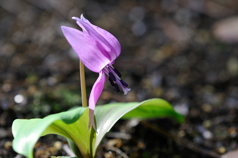 image0134