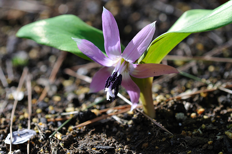 image0135