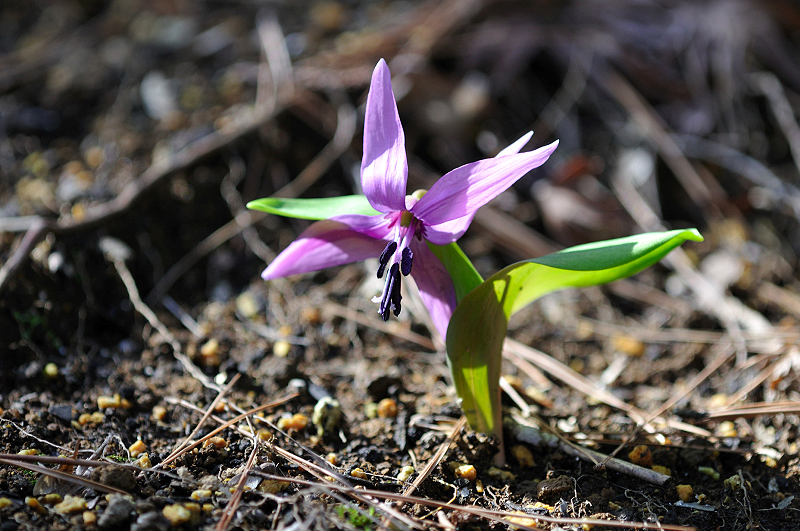 image0136