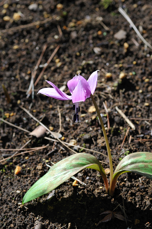image0138