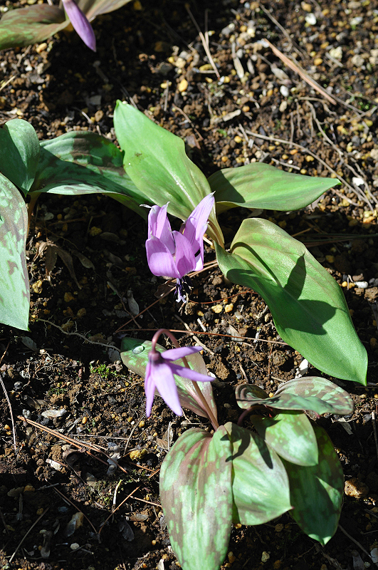 image0139