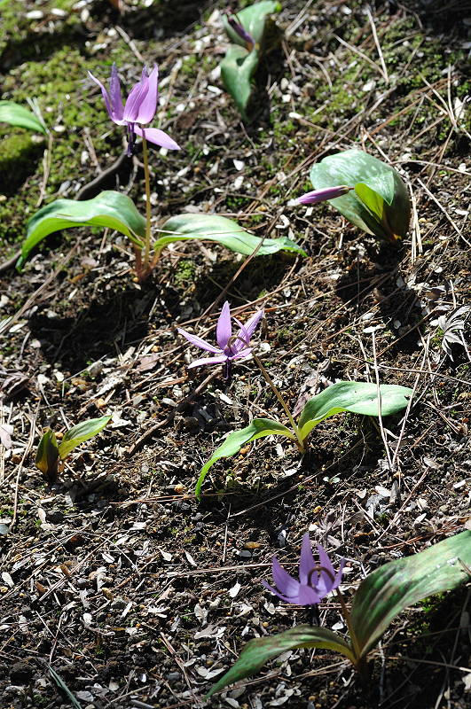 image0140