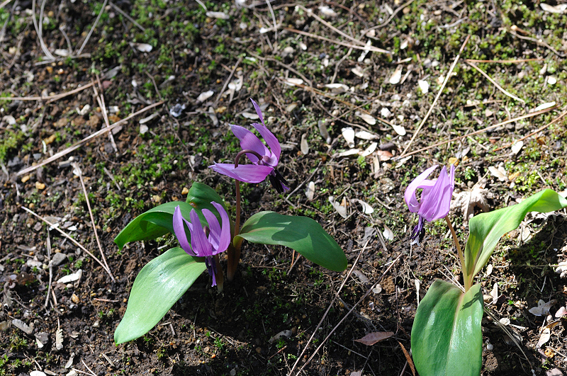 image0141
