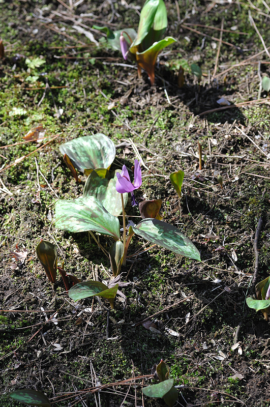 image0142