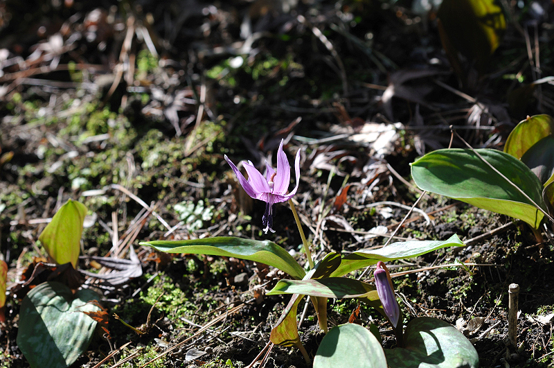 image0143