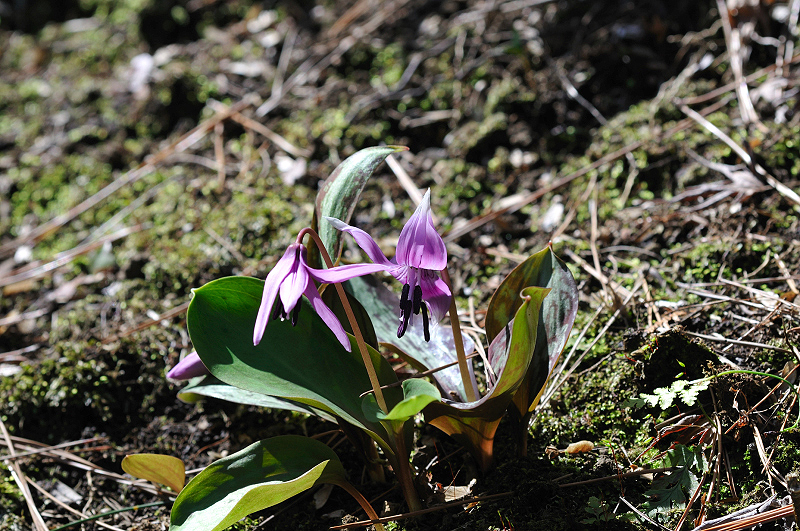 image0144