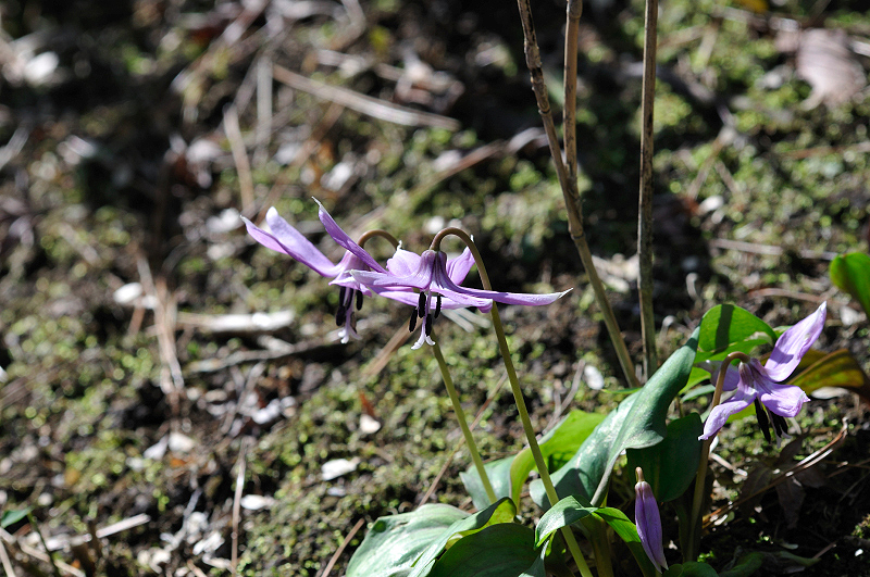 image0146