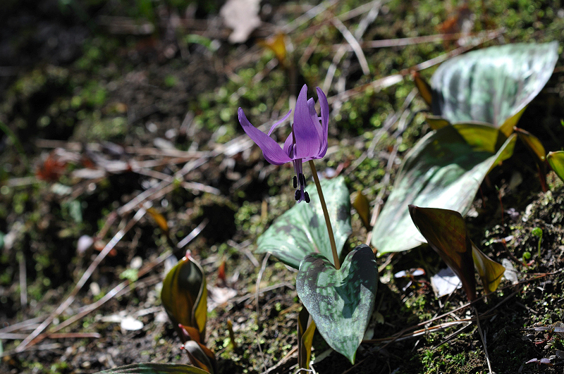 image0147