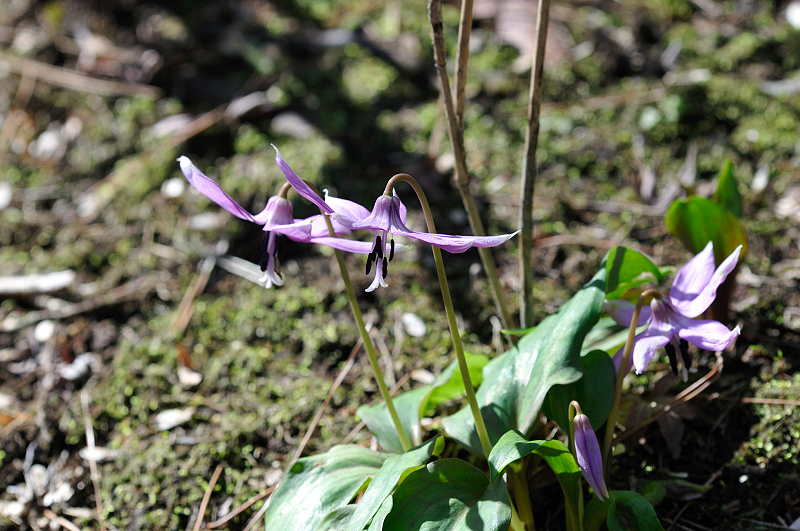 image0148