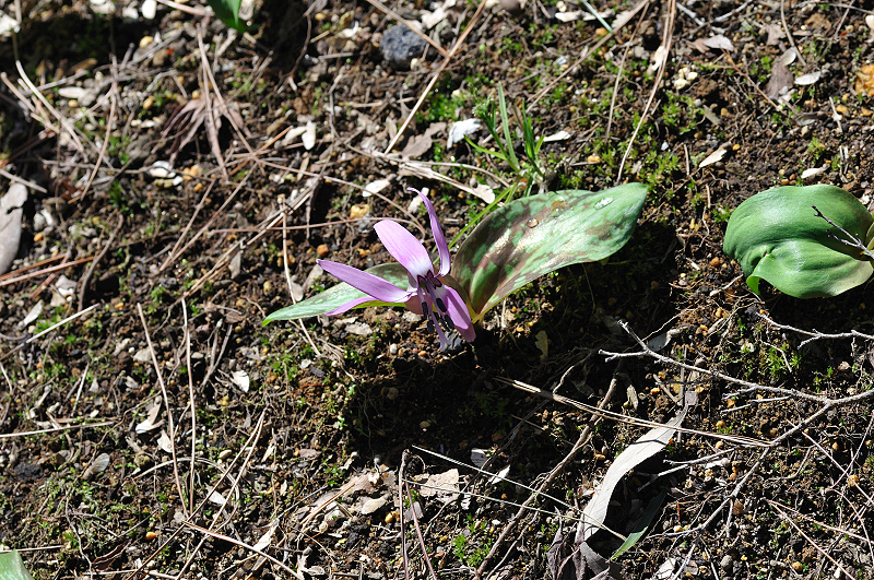 image0149