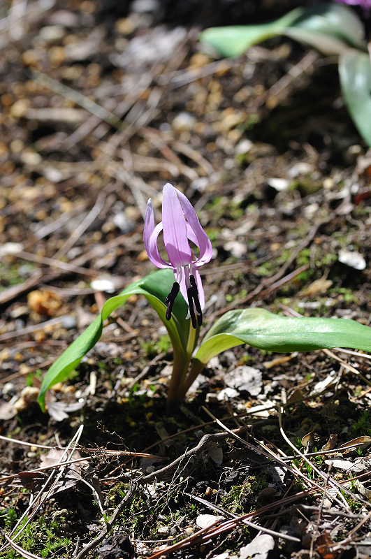 image0150