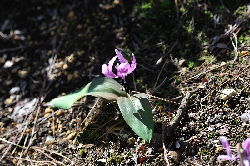 image0151