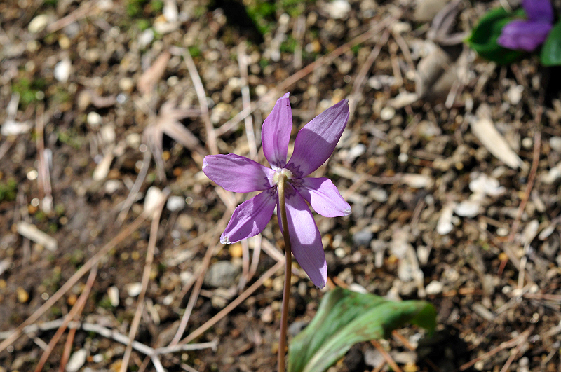 image0152