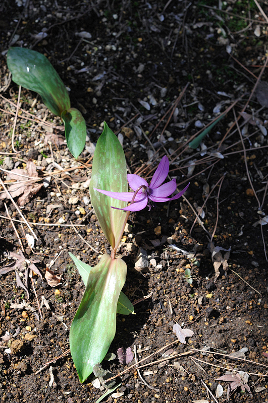 image0153
