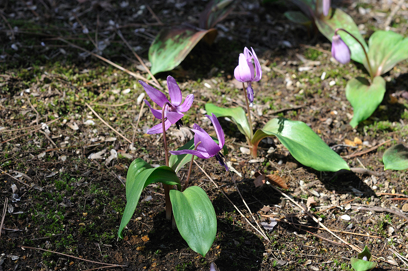image0154
