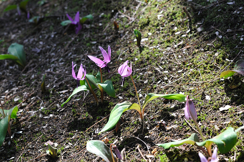 image0156
