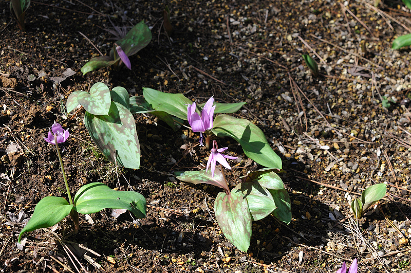 image0157