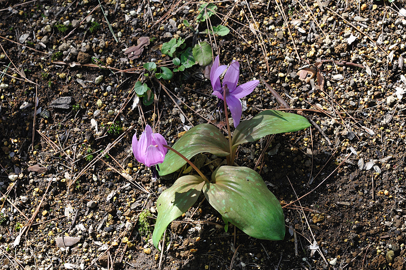 image0158